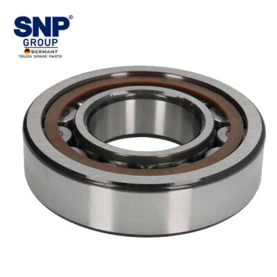 42026225 DIFF.BEARING - 1