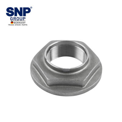 42129230 DIFF.MAIN SHAFT NUT - 1