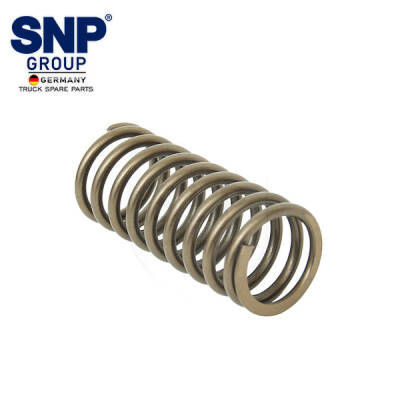 468066 VALVE SPRING INNER - 1